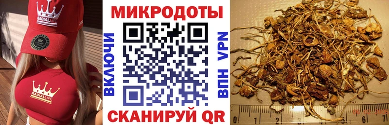Псилоцибиновые грибы мицелий  закладки  Урай 
